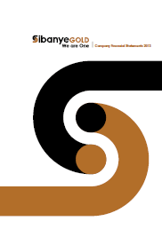 Company Financial Statements 2013 [cover]