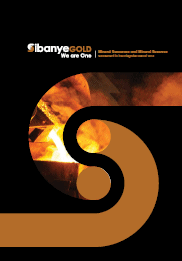 Integrated report 2013 [cover]