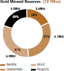 Gold Mineral Reserves (19.7Moz) [graph]