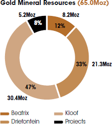 Gold Mineral Resources (65.0Moz) [graph]