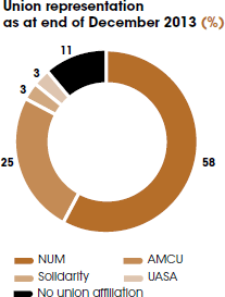 Union representation as at end of December 2013 (%) [graph]