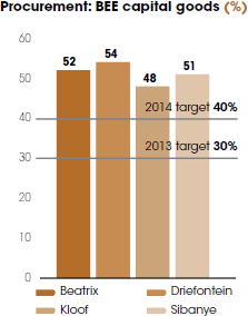 Procurement: capital goods (%) [graph]