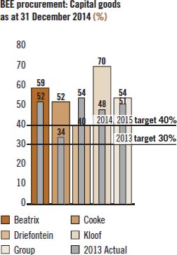 BEE procurement: Capital goods as at 31 December 2014 (%) [chart]