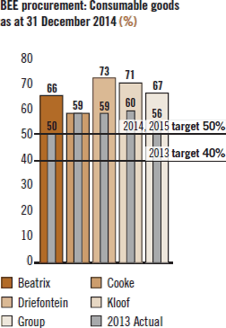 BEE procurement: Consumable goods as at 31 December 2014 (%) [chart]
