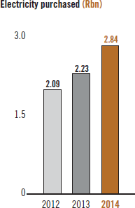 Electricity purchased (Rbn)