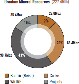 Uranium Mineral Resources (103.9Moz)