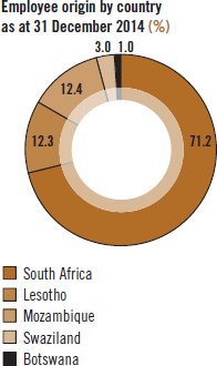 Employee origin by country
as at 31 December 2014 (%) [graph]